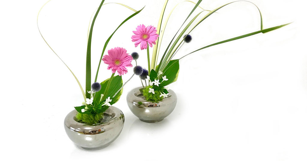 two pink flowers in vases