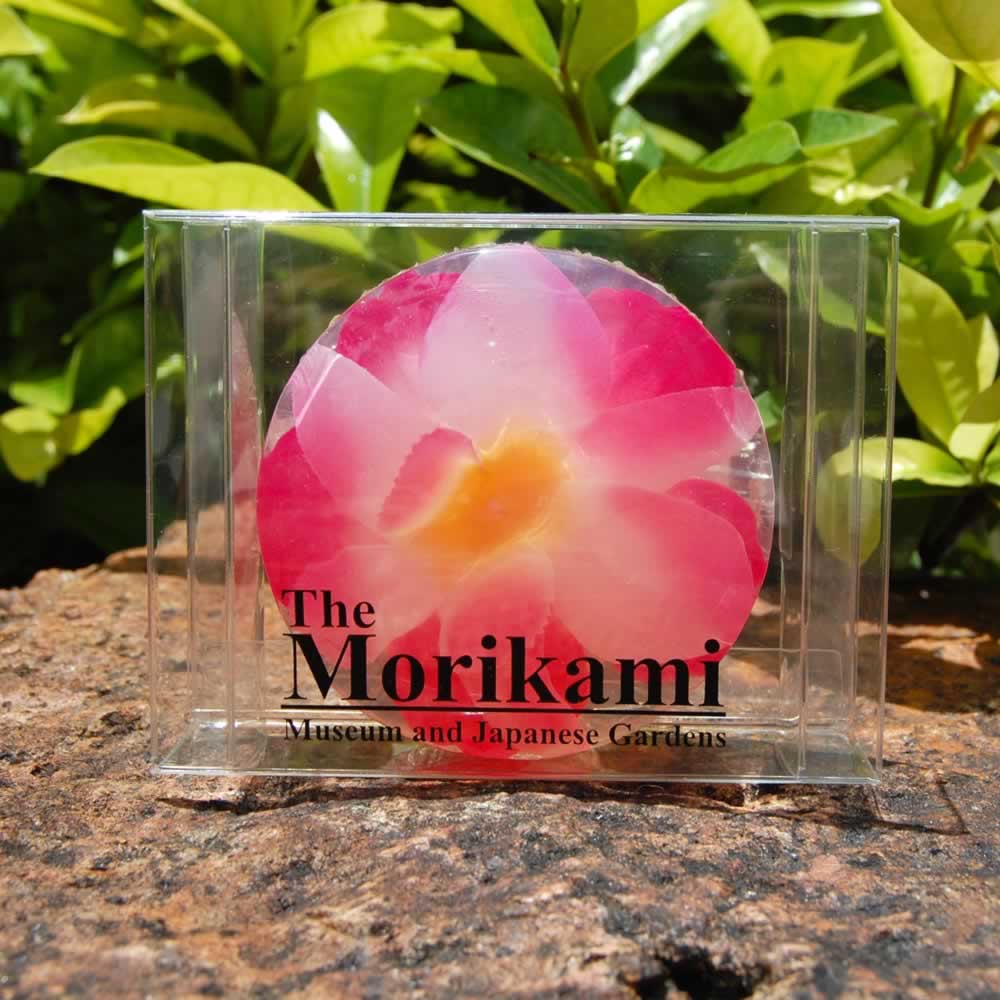 soap_morikami_sq4.jpg