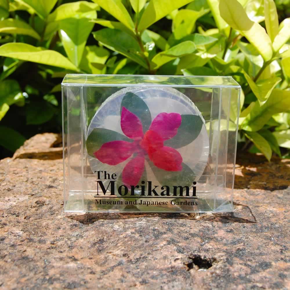 soap_morikami_sq5.jpg