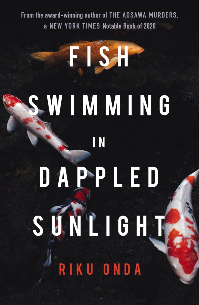 fish swimming in dappled sunlight 