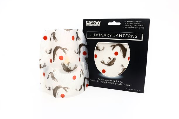 Koi w package-S