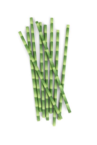 CU75_BAMBOO_STRAWS