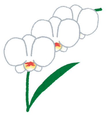 Family Fun Morikami Museum And Japanese Gardens