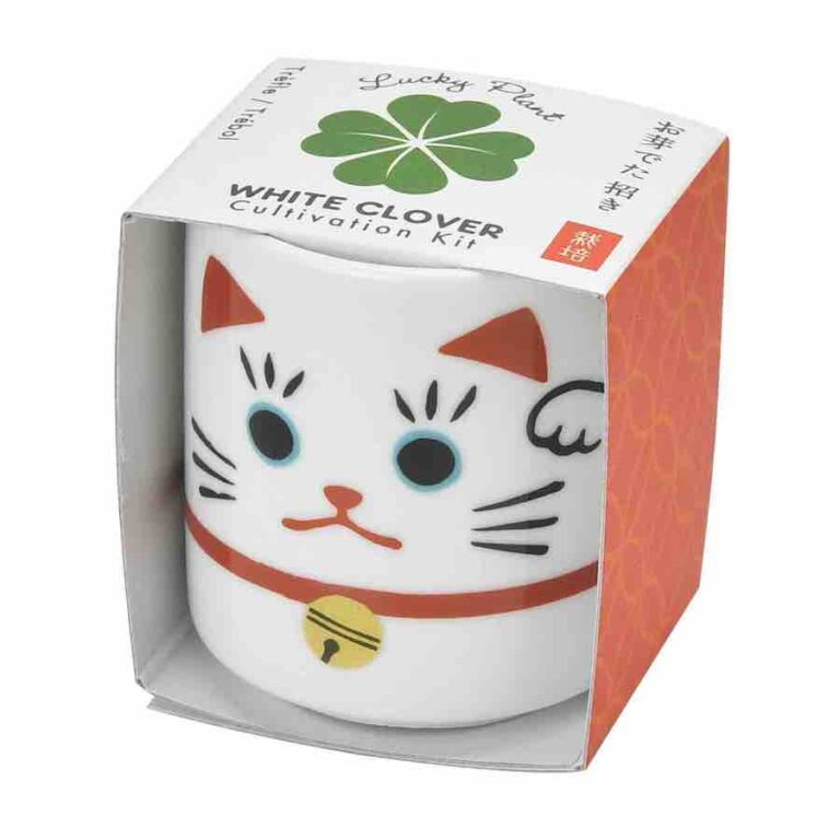 Lucky Plant Kits - Image 3