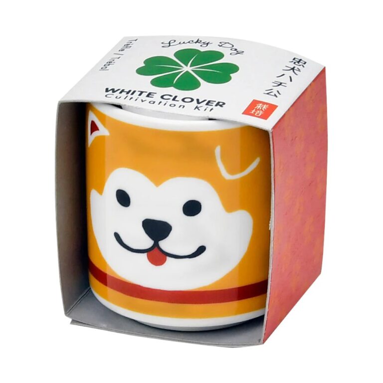 Lucky Plant Kits - Image 4