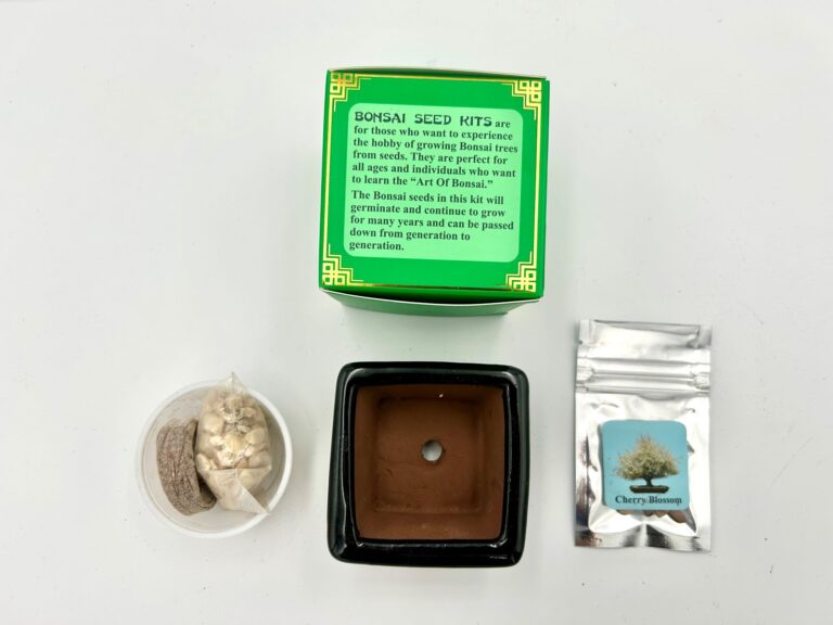 Bonsai Seed Kits - Image 2