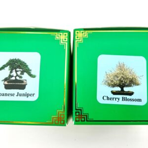 Bonsai Seed Kits