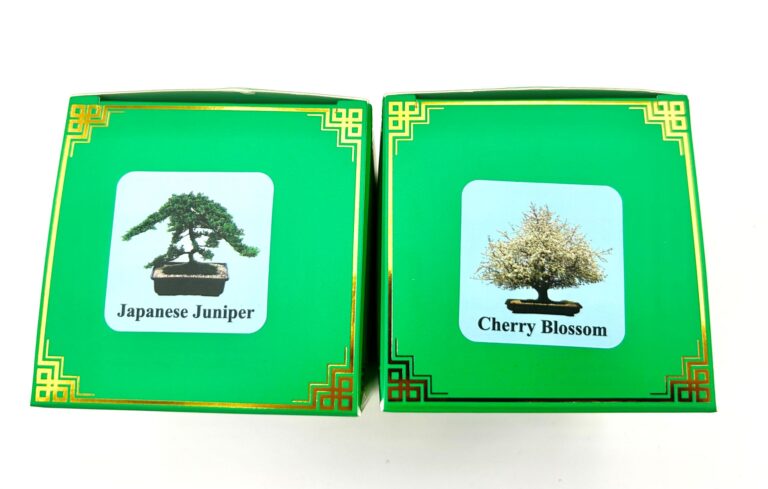Bonsai Seed Kits