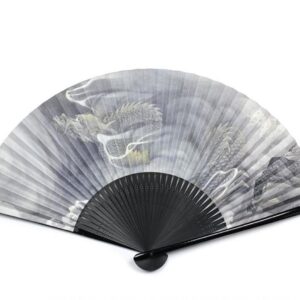 Dragon Fan