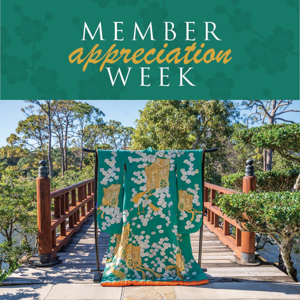 Member Appreciation Week text on a teal colored background and a picture of a teal and white kimono outside.
