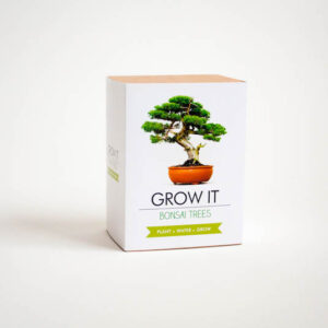Grow It Bonsai Tree Kit