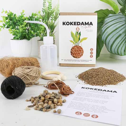 Kokedama DIY Kit - Image 2