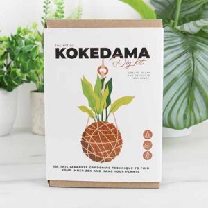 Kokedama DIY Kit